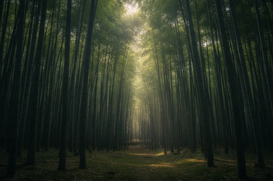Bamboo: The World's Most Sustainable Material Davro