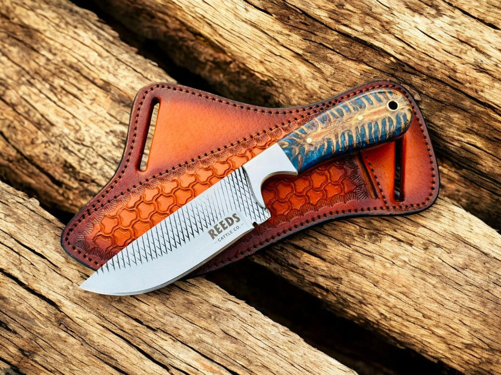 Hunting Knife with 4" Rasp Steel Blade & Blue Pine-Cone Resin Handle Damascus Knife Store