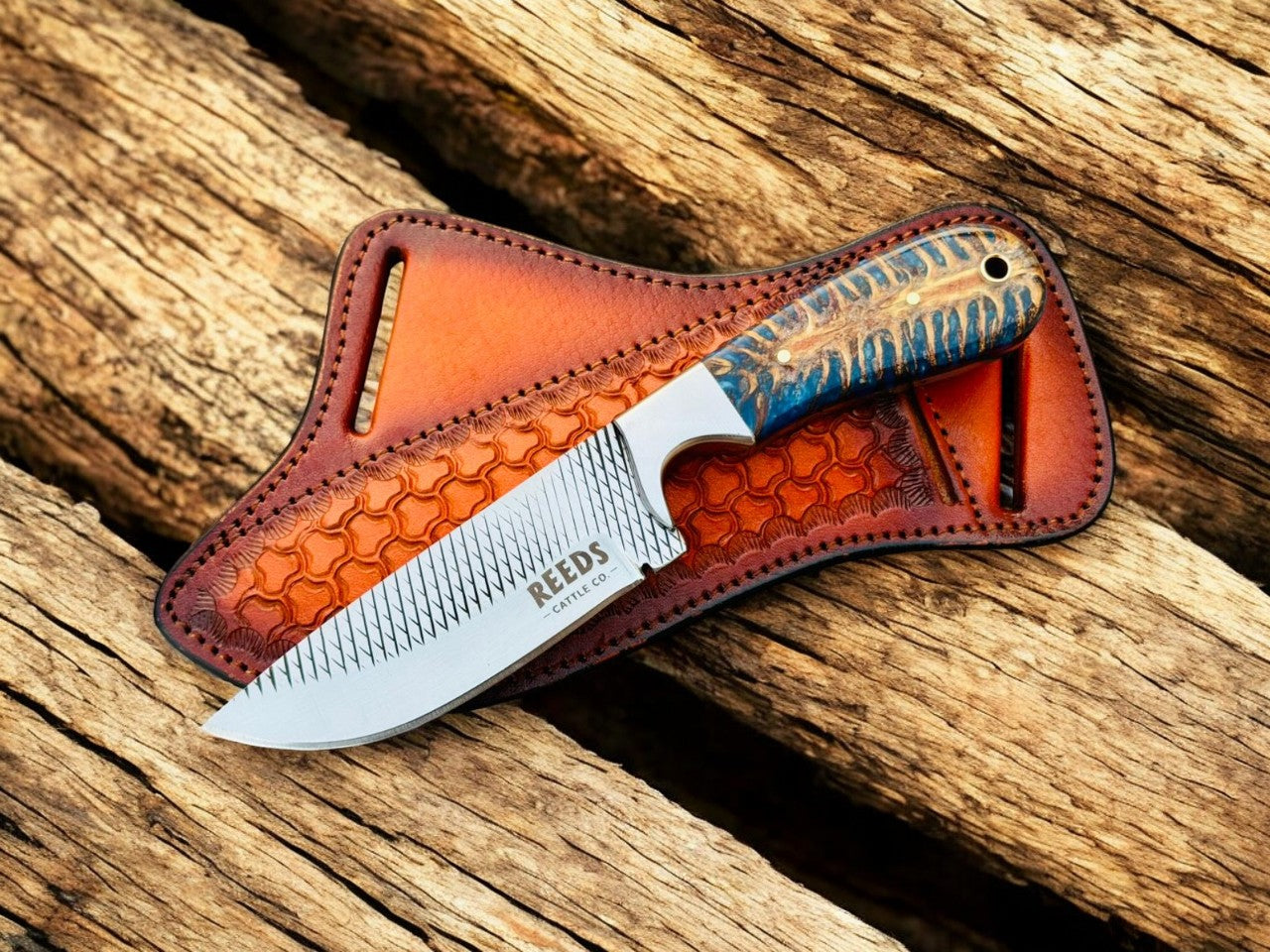 Hunting Knife with 4" Rasp Steel Blade & Blue Pine-Cone Resin Handle Damascus Knife Store