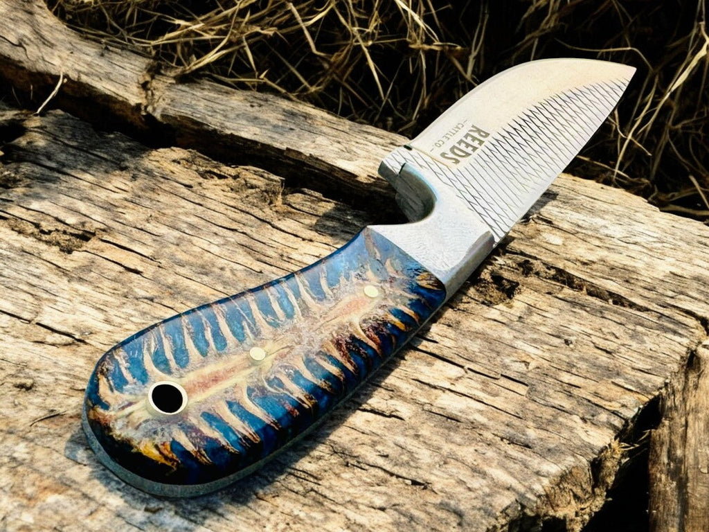 Hunting Knife with 4" Rasp Steel Blade & Blue Pine-Cone Resin Handle Damascus Knife Store