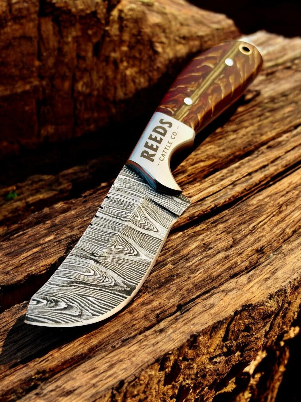 Cowboy Knife 3.25" Damascus Blade with Red Pine Cone Resin Handle Damascus Knife Store