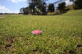 Golf Ball Marker Techmounts Mounting Systems