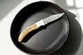 Handmade Damascus Pocket Knife with Olivewood Handle Damascus Knife Store