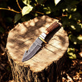 Custom Handmade Damascus Hunting Knife – 8" with Antler Handle Damascus Knife Store