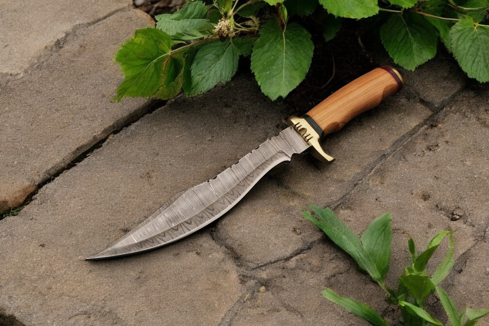 Handmade Damascus Bowie Knife with Olive Wood Handle Damascus Knife Store