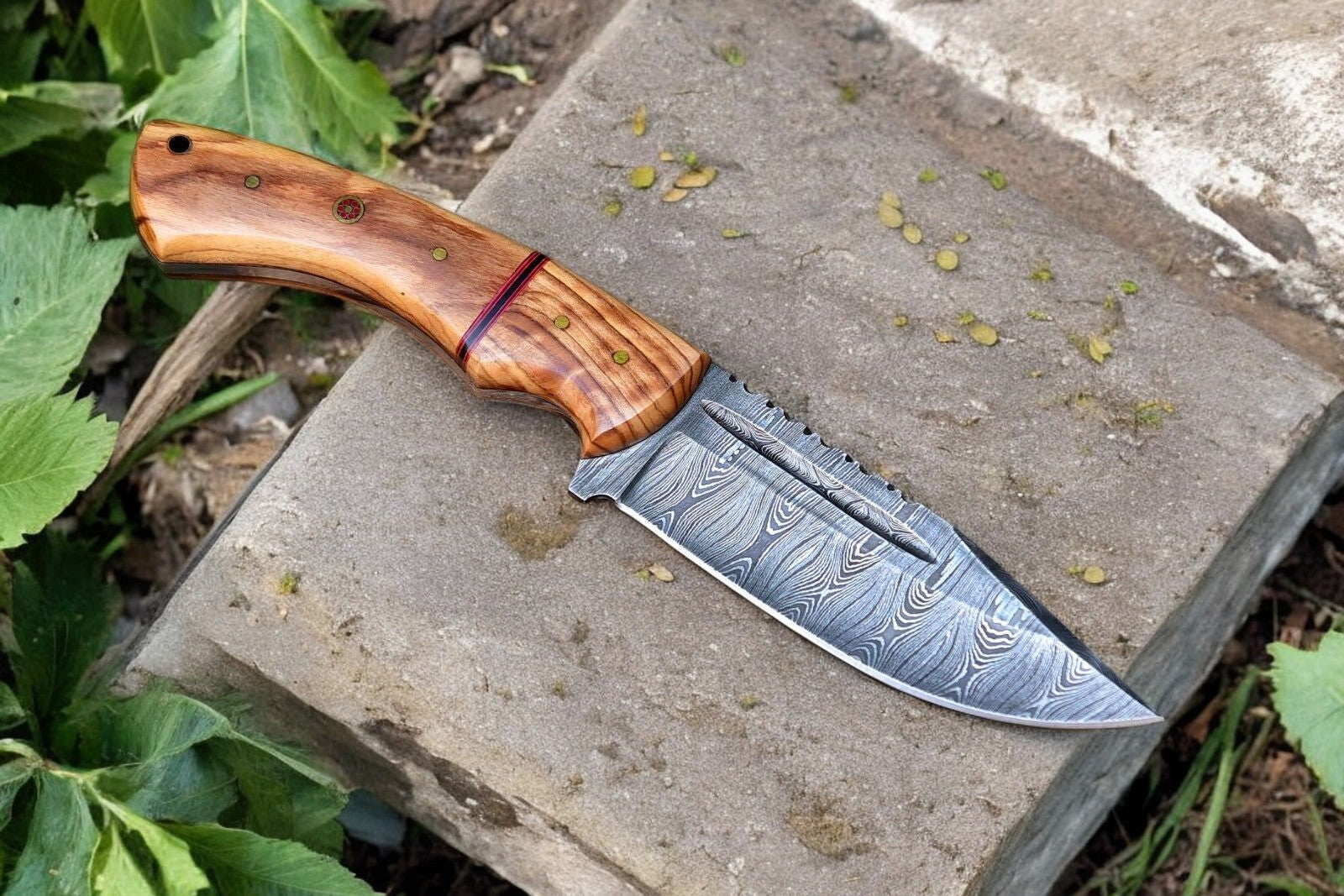 Custom Handmade Damascus Hunting Knife – Olive Wood Handle Damascus Knife Store