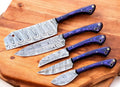 Handmade Damascus Kitchen Knives Set with Exotic Wood Handles Damascus Knife Store